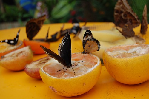 Feeding time