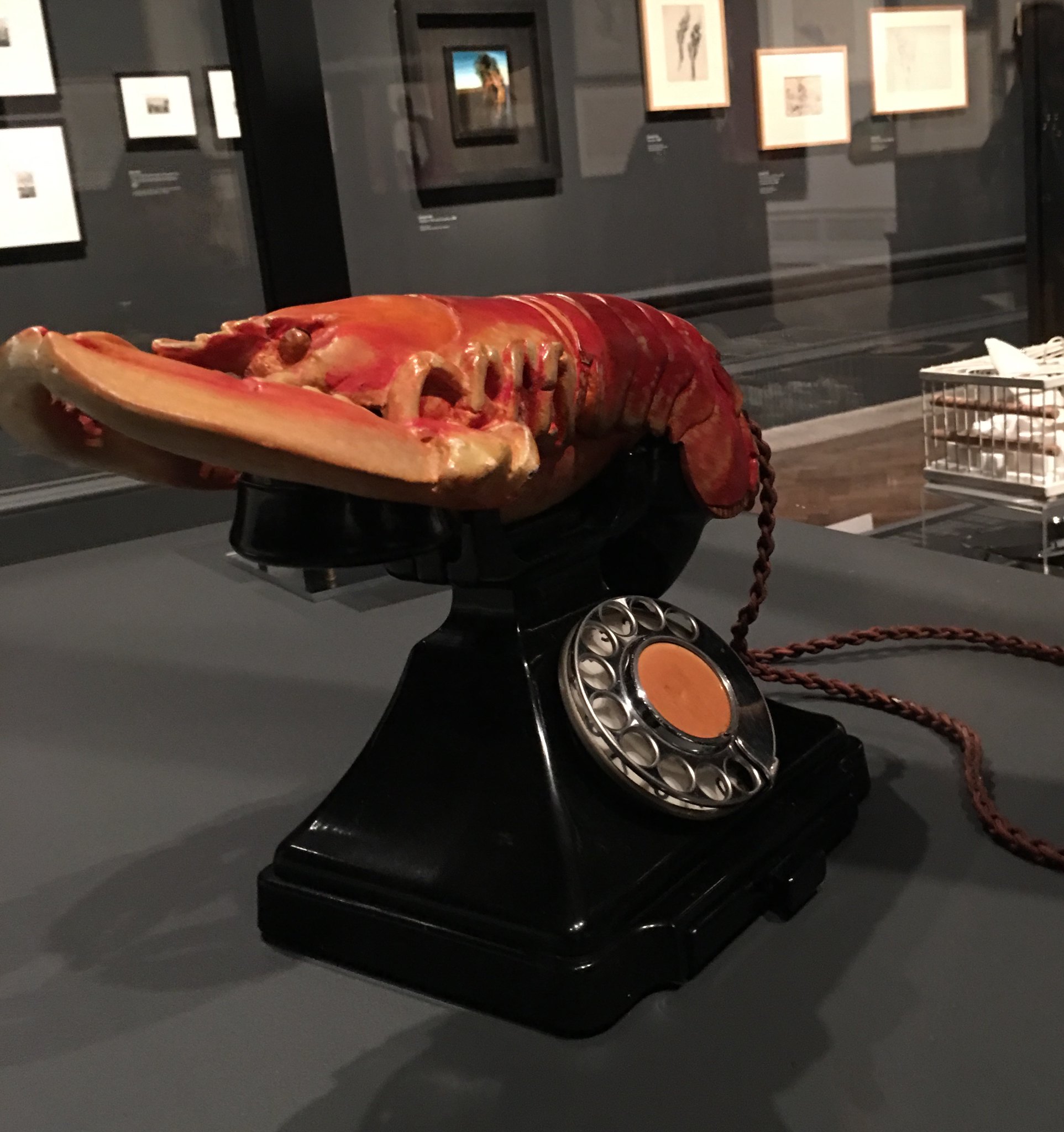 Dali obvs
