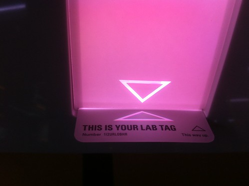 Chrome Web Lab