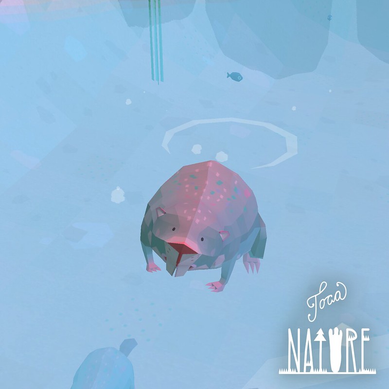 Toca Nature