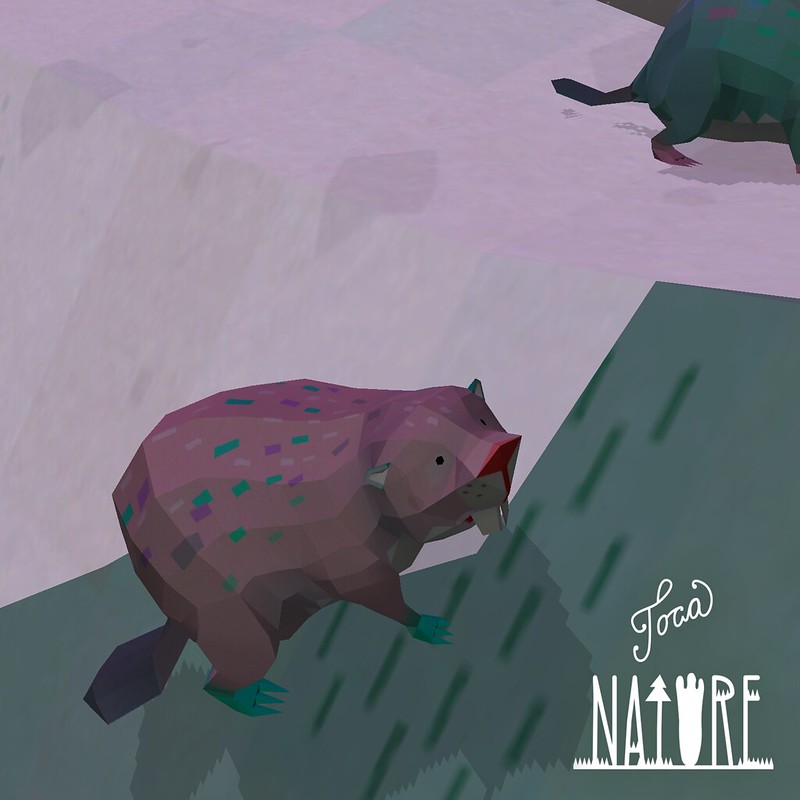 Toca Nature