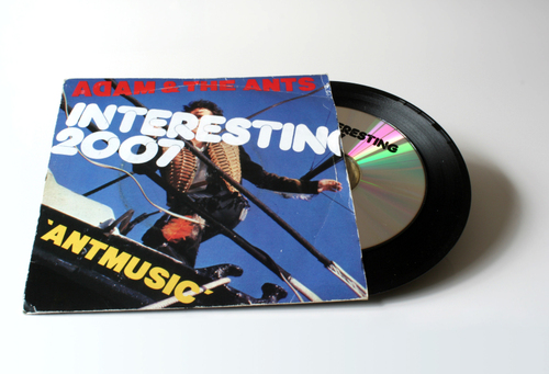 Interesting_seveninch_ant