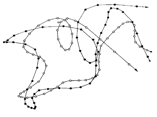 Landing_paths
