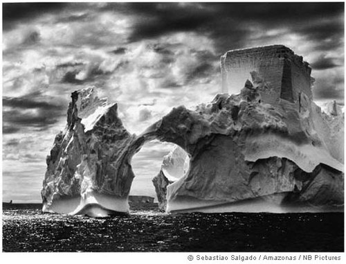 Salgado_anta3