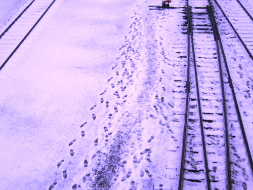 Snc15685