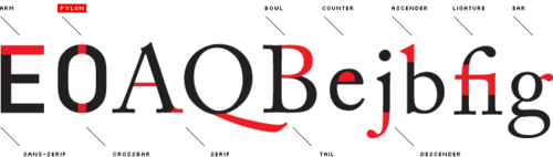 Type_anatomy