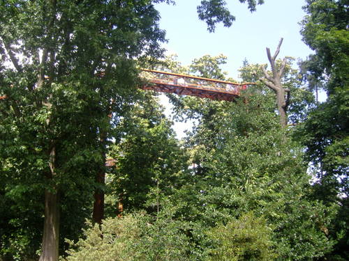 Snc10012