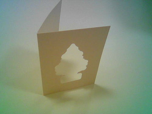 322321367_895ceab47a_o