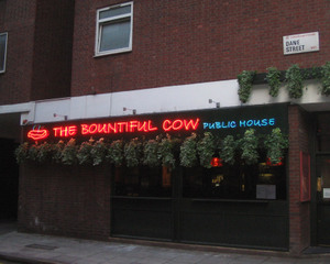 Bountifulcow